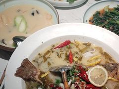 -大榕树下顺德菜(融创茂店)