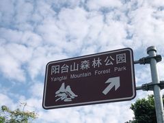 -阳台山森林公园