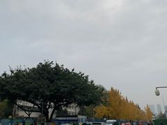 -四川大学(望江校区)