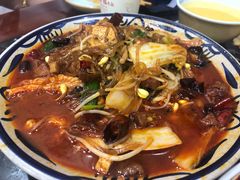 -后卫寨猫耳朵(后卫寨店)