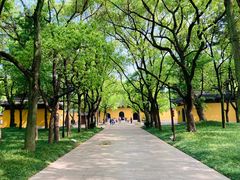 -西园戒幢律寺
