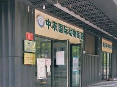 -中农国际动物医院24小时·猫科·骨科·急重症中心