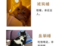 -纳吉亚猫专科动物医院博雅分院