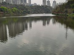 -重庆彩云湖湿地公园