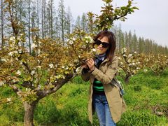 -上海长兴岛郊野公园