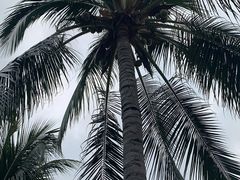 -三亚亚龙湾雅高美爵酒店