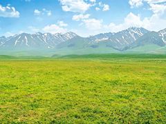 -新疆那拉提国家旅游度假区