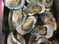 原汁蒸海岛生蚝-龙坛美食店