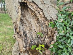 -南京市江宁方山