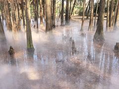 -东湖落雁景区
