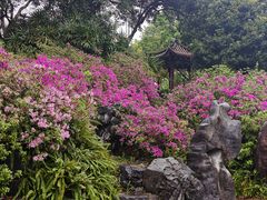 -柳侯公园