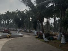 -万绿园