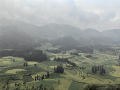 -牛街螺丝田