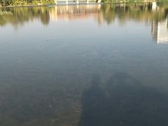 -洛龙公园