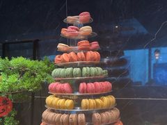 -雍容荟帝王蟹活龙虾展台自助(IFS黑金店)