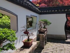 -上海醉白池公园