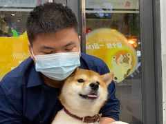 -帕帕拉兹宠物(亚洲旗舰店)