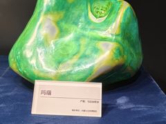 -国家自然博物馆