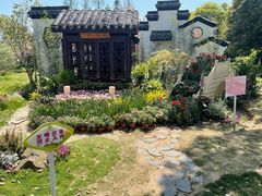 -苏州上方山国家森林公园