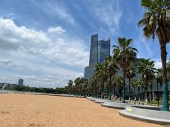 -金沙湖公园