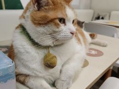 -小时光咖啡馆(北锣鼓巷店)