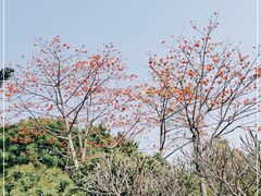 -海珠湖公园