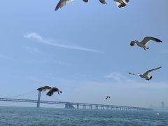 -星海广场