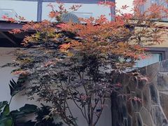 -山壹竹庭院餐厅
