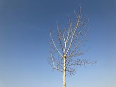 -绿堤公园