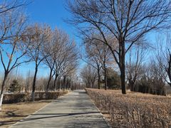 -北京麋鹿生态实验中心