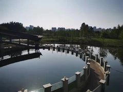 -眉山湿地公园(东坡区)