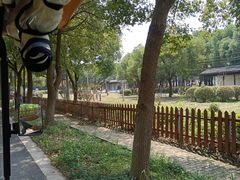 -莲花岛景区