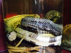 老枝花卤(玉林店)-老枝花卤(玉林店)