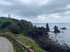 -涉地可支