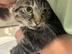 -萌宠主义宠物生活馆(金山路店)