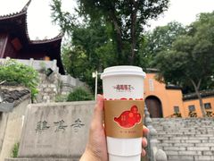 -鸡鸣赐茶(鸡鸣寺路店)