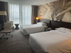 -国家会议中心大酒店