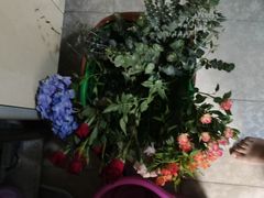 -人民公园(罗湖区)