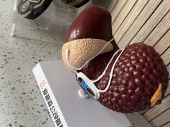 -半岛宠物医院24小时(白果林店)