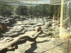 -宁波野生动物园
