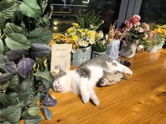 -IFIF 如果花園(宽厚里店)