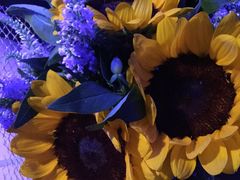 -婷意花宇TheGracesFloral(北外滩店)