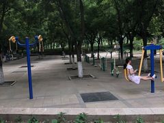 -金星公园