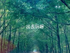 -东海森林温泉度假酒店