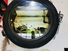 -陶野咖啡·面包披萨