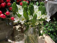 -春暖花开(西溪店)