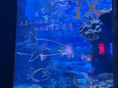 -海合安武汉极地海洋公园