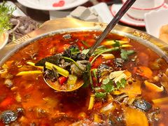 -黔凤辣子鸡