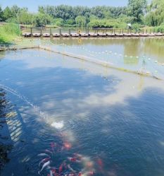 -汉石桥湿地童趣乐园