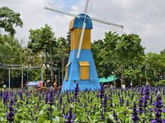 -广东花都香草世界旅游度假区